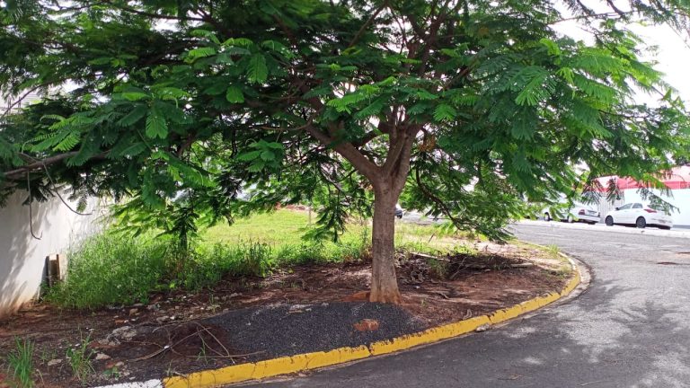 TERRENO À VENDA