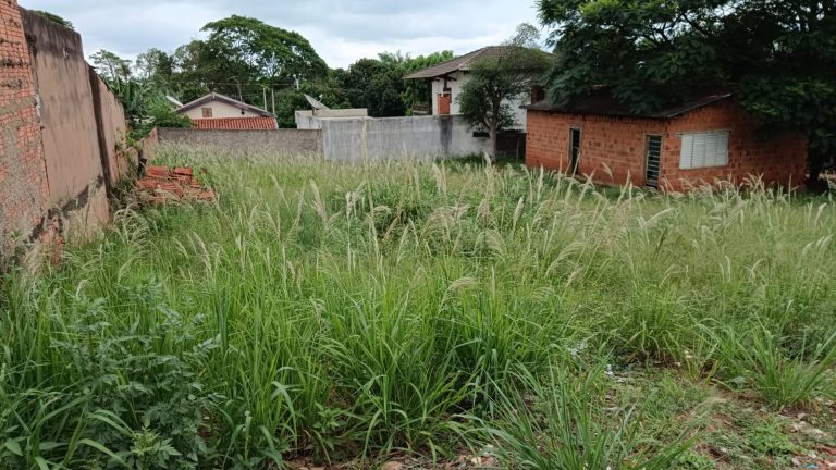 IMÓVEIS COM TERRENOS Á VENDA